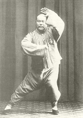 yang cheng fu